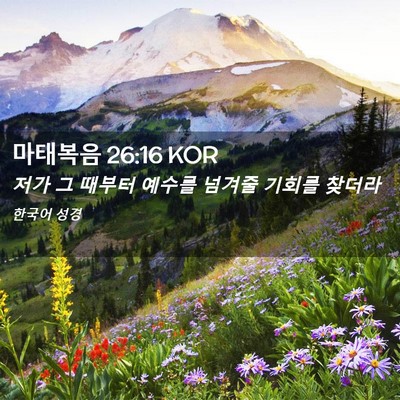 Picture 02 - 마태복음 26:16 KOR - 저가 그 때부터 예수를 넘겨줄 - Bible Verse Picture