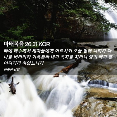 Picture 02 - 마태복음 26:31 KOR - 때에 예수께서 제자들에게 이르시되 - Bible Verse Picture