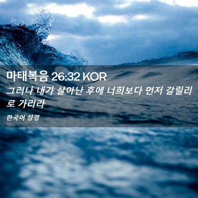 Picture 02 - 마태복음 26:32 KOR - 그러나 내가 살아난 후에 너희보다 - Bible Verse Picture