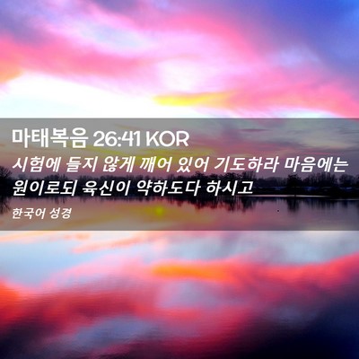 Picture 02 - 마태복음 26:41 KOR - 시험에 들지 않게 깨어 있어 - Bible Verse Picture
