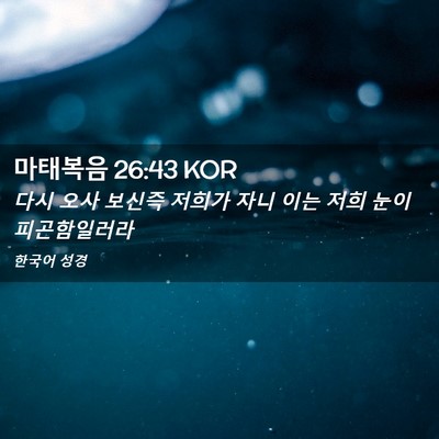 Picture 02 - 마태복음 26:43 KOR - 다시 오사 보신즉 저희가 자니 이는 - Bible Verse Picture