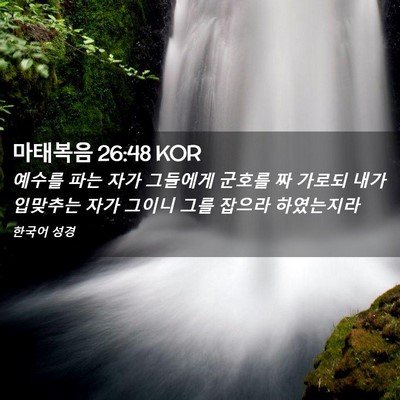Picture 02 - 마태복음 26:48 KOR - 예수를 파는 자가 그들에게 군호를 - Bible Verse Picture
