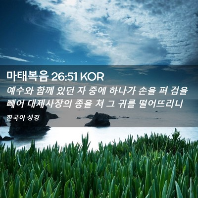 Picture 02 - 마태복음 26:51 KOR - 예수와 함께 있던 자 중에 하나가 - Bible Verse Picture