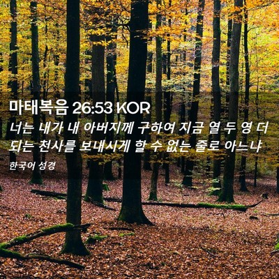 Picture 02 - 마태복음 26:53 KOR - 너는 내가 내 아버지께 구하여 지금 - Bible Verse Picture