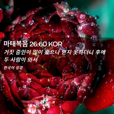 Picture 02 - 마태복음 26:60 KOR - 거짓 증인이 많이 왔으나 얻지 - Bible Verse Picture