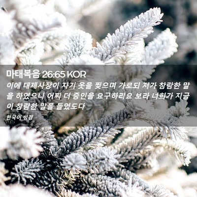 Picture 02 - 마태복음 26:65 KOR - 이에 대제사장이 자기 옷을 찢으며 - Bible Verse Picture
