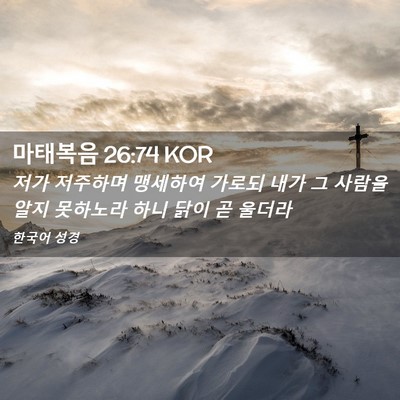 Picture 02 - 마태복음 26:74 KOR - 저가 저주하며 맹세하여 가로되 내가 - Bible Verse Picture