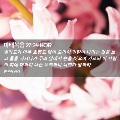 Picture 02 - 마태복음 27:24 KOR - 빌라도가 아무 효험도 없이 도리어 - Bible Verse Picture