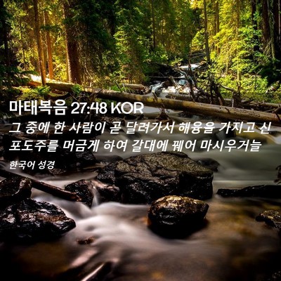 Picture 02 - 마태복음 27:48 KOR - 그 중에 한 사람이 곧 달려가서 - Bible Verse Picture