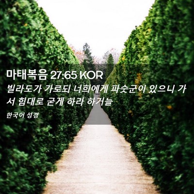 Picture 02 - 마태복음 27:65 KOR - 빌라도가 가로되 너희에게 파숫군이 - Bible Verse Picture