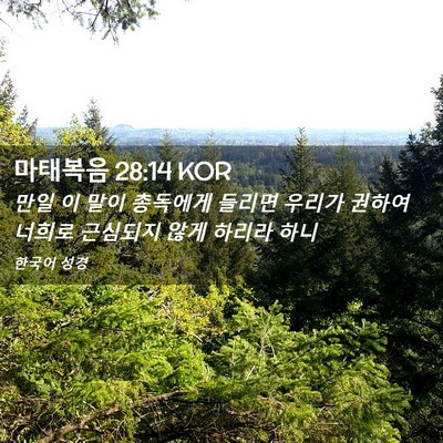 Picture 02 - 마태복음 28:14 KOR - 만일 이 말이 총독에게 들리면 - Bible Verse Picture