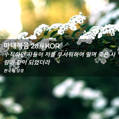 Picture 02 - 마태복음 28:4 KOR - 수직하던 자들이 저를 무서워하여 - Bible Verse Picture