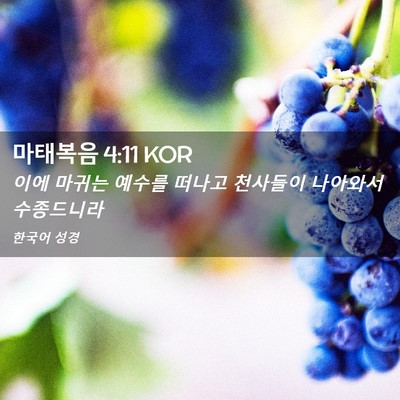 Picture 02 - 마태복음 4:11 KOR - 이에 마귀는 예수를 떠나고 천사들이 - Bible Verse Picture