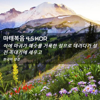 Picture 02 - 마태복음 4:5 KOR - 이에 마귀가 예수를 거룩한 성으로 - Bible Verse Picture