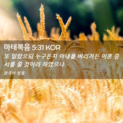 Picture 02 - 마태복음 5:31 KOR - 또 일렀으되 누구든지 아내를 - Bible Verse Picture