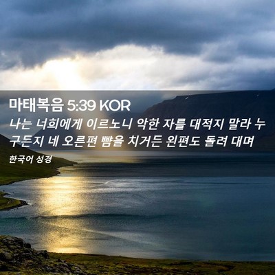 Picture 02 - 마태복음 5:39 KOR - 나는 너희에게 이르노니 악한 자를 - Bible Verse Picture