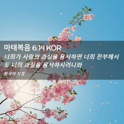 Picture 02 - 마태복음 6:14 KOR - 너희가 사람의 과실을 용서하면 너희 - Bible Verse Picture