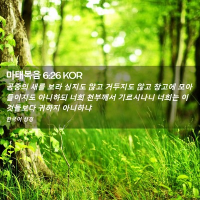 Picture 02 - 마태복음 6:26 KOR - 공중의 새를 보라 심지도 않고 - Bible Verse Picture
