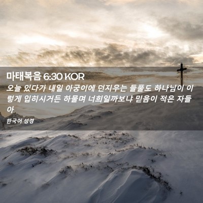 Picture 02 - 마태복음 6:30 KOR - 오늘 있다가 내일 아궁이에 던지우는 - Bible Verse Picture
