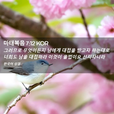 Picture 02 - 마태복음 7:12 KOR - 그러므로 무엇이든지 남에게 대접을 - Bible Verse Picture
