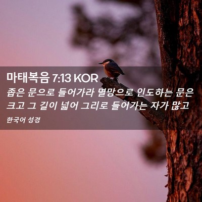 Picture 02 - 마태복음 7:13 KOR - 좁은 문으로 들어가라 멸망으로 - Bible Verse Picture
