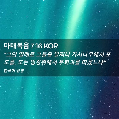 Picture 02 - 마태복음 7:16 KOR - 