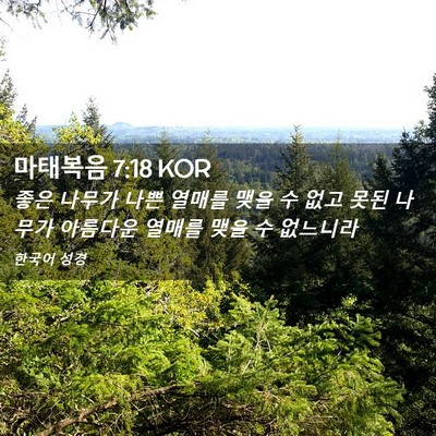 Picture 02 - 마태복음 7:18 KOR - 좋은 나무가 나쁜 열매를 맺을 수 - Bible Verse Picture