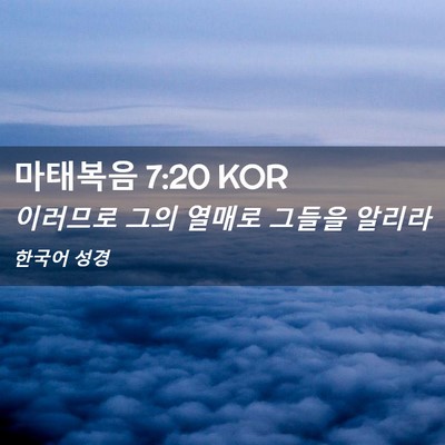 Picture 02 - 마태복음 7:20 KOR - 이러므로 그의 열매로 그들을 - Bible Verse Picture