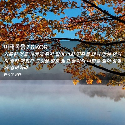 Picture 02 - 마태복음 7:6 KOR - 거룩한 것을 개에게 주지 말며 너희 - Bible Verse Picture
