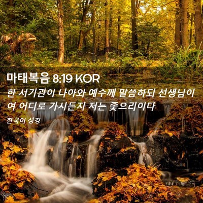 Picture 02 - 마태복음 8:19 KOR - 한 서기관이 나아와 예수께 말씀하되 - Bible Verse Picture