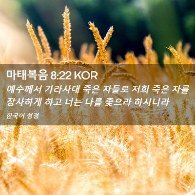 Picture 02 - 마태복음 8:22 KOR - 예수께서 가라사대 죽은 자들로 저희 - Bible Verse Picture
