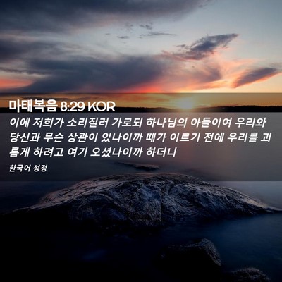 Picture 02 - 마태복음 8:29 KOR - 이에 저희가 소리질러 가로되 - Bible Verse Picture