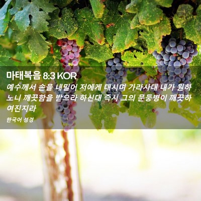 Picture 02 - 마태복음 8:3 KOR - 예수께서 손을 내밀어 저에게 대시며 - Bible Verse Picture