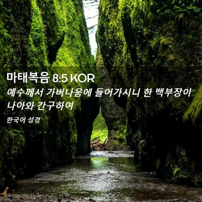Picture 02 - 마태복음 8:5 KOR - 예수께서 가버나움에 들어가시니 한 - Bible Verse Picture