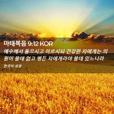 Picture 02 - 마태복음 9:12 KOR - 예수께서 들으시고 이르시되 건강한 - Bible Verse Picture