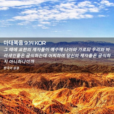 Picture 02 - 마태복음 9:14 KOR - 그 때에 요한의 제자들이 예수께 - Bible Verse Picture