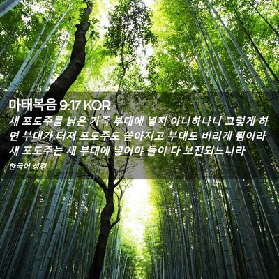 Picture 02 - 마태복음 9:17 KOR - 새 포도주를 낡은 가죽 부대에 넣지 - Bible Verse Picture