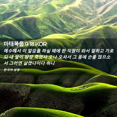 Picture 02 - 마태복음 9:18 KOR - 예수께서 이 말씀을 하실 때에 한 - Bible Verse Picture
