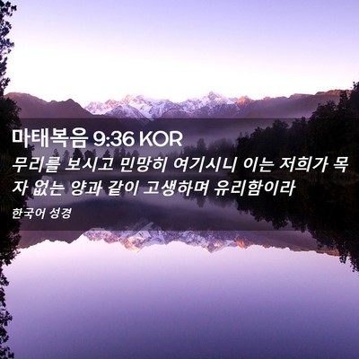 Picture 02 - 마태복음 9:36 KOR - 무리를 보시고 민망히 여기시니 이는 - Bible Verse Picture