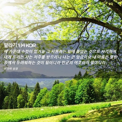 Picture 02 - 말라기 1:14 KOR - 떼 가운데 수컷이 있거늘 그 - Bible Verse Picture