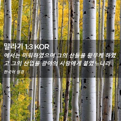 Picture 02 - 말라기 1:3 KOR - 에서는 미워하였으며 그의 산들을 - Bible Verse Picture