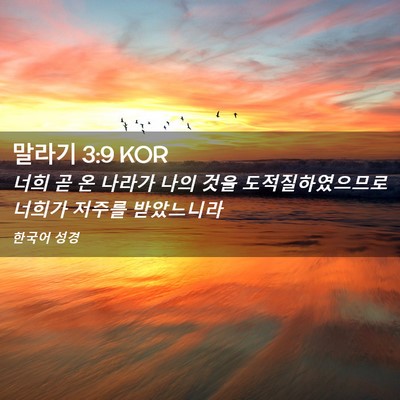Picture 02 - 말라기 3:9 KOR - 너희 곧 온 나라가 나의 것을 - Bible Verse Picture