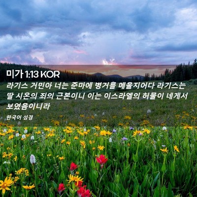 Picture 02 - 미가 1:13 KOR - 라기스 거민아 너는 준마에 병거를 - Bible Verse Picture