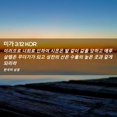 Picture 02 - 미가 3:12 KOR - 이러므로 너희로 인하여 시온은 밭 - Bible Verse Picture