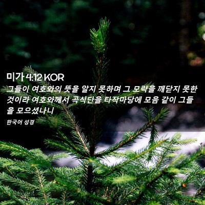 Picture 02 - 미가 4:12 KOR - 그들이 여호와의 뜻을 알지 못하며 - Bible Verse Picture