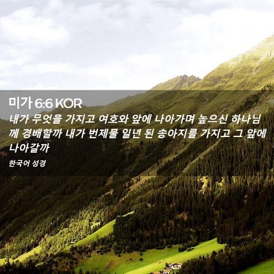 Picture 02 - 미가 6:6 KOR - 내가 무엇을 가지고 여호와 앞에 - Bible Verse Picture