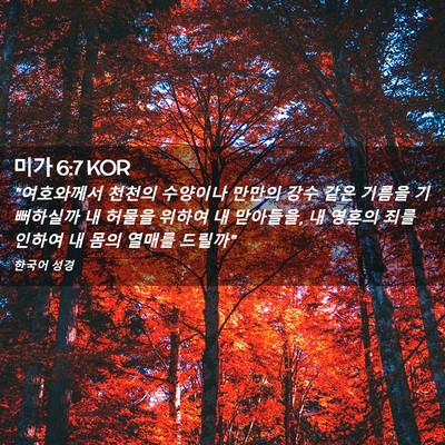 Picture 02 - 미가 6:7 KOR - 