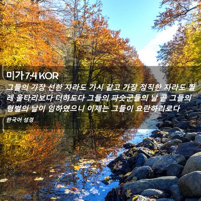 Picture 02 - 미가 7:4 KOR - 그들의 가장 선한 자라도 가시 같고 - Bible Verse Picture