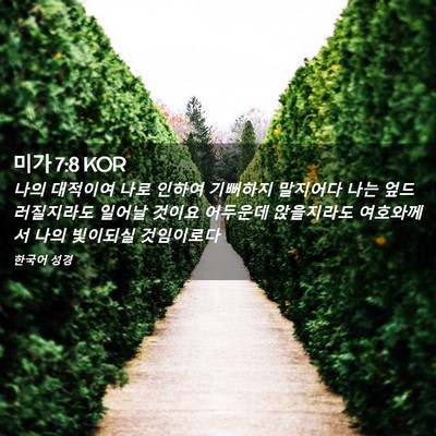 Picture 02 - 미가 7:8 KOR - 나의 대적이여 나로 인하여 기뻐하지 - Bible Verse Picture