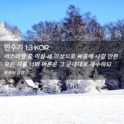 Picture 02 - 민수기 1:3 KOR - 이스라엘 중 이십 세 이상으로 - Bible Verse Picture